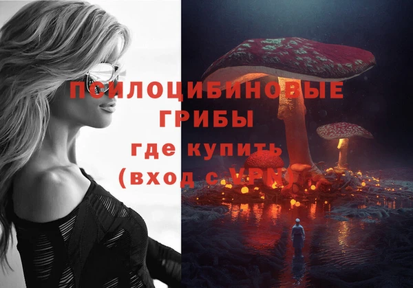 прущая мука Белоозёрский